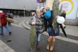 Katowice: służby miejskie odbiorą od katowiczan choinki świąteczne