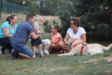 Wielki piknik rodzinny stowarzyszenia "Radosny Zakątek" w Rożnie-Parcele [zdjęcia]