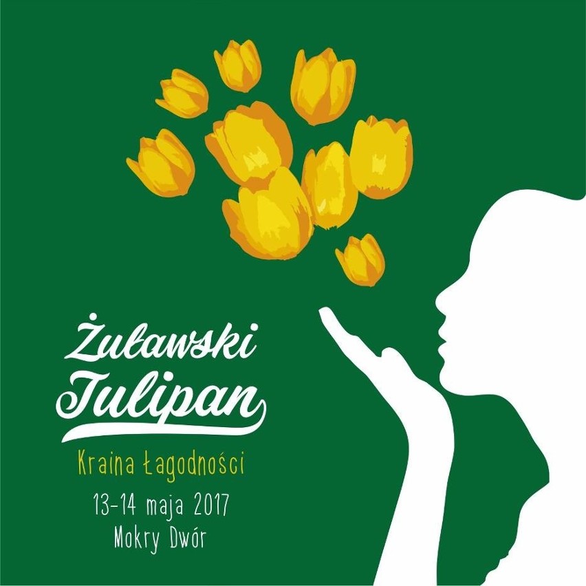 Żuławski Tulipan 2017 już w najbliższy weekend w Mokrym Dworze