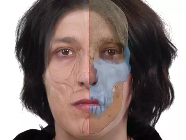 Rekonstrukcja twarzy kobiety z Polskiej Cerekwi, z epoki neolitu.