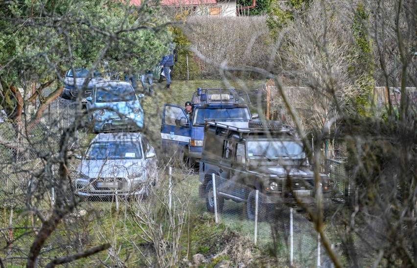 Działania służb ws. Iwony Wieczorek. Policja na działkach w...