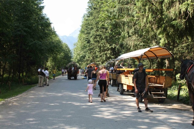 Góry kuszą ofertą wycieczek i półkolonii dla dzieci na wakacje 2022. Tłumy turystów już na początku czerwca zalały szlaki w Tatrach. Internauci komentują zdjęcia, wykonane przez tatrzańską przewodniczkę. "Chybabym zwariowała!".