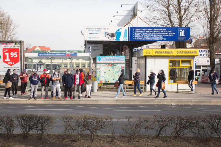 Czy słupszczanie zostali w domu i podporządkowali się...