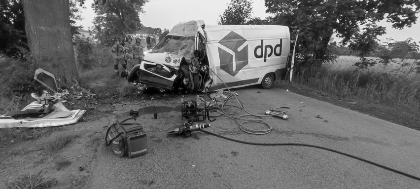 Powiat gdański. Koszmarny wypadek! Na DW 222 bus uderzył w drzewo. Kierowca zginął na miejscu. 24.08.2022 r. ZDJĘCIA