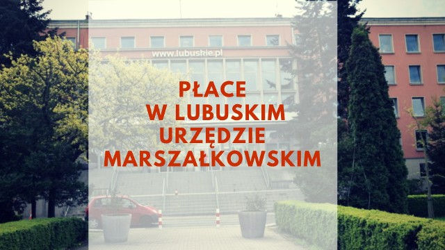 W Lubuskim Urzędzie Marszałkowskim pracuje 736 osób (wg danych z 28 grudnia 2018 r.). Średnie zarobki miesięczne pracowników Lubuskiego Urzędu Marszałkowskiego wynosiły w grudniu (a dokładnie 28 grudnia 2018 r.) 2018 roku - 4.757,81 zł brutto. Na kolejnych slajdach przedstawiamy zarobki na różnych stanowiskach w urzędzie. Są to zarobki brutto.  W ich skład weszły: wynagrodzenie zasadnicze, dodatek funkcyjny, dodatek specjalny (z tytułu zwiększenia obowiązków służbowych, powierzenia dodatkowych zadań), ryczałt za pracę w godzinach nadliczbowych, dodatek stażowy (naliczany od wynagrodzenia zasadniczego w wysokości od 5 proc. do 20 proc. w zależności od liczby przepracowanych lat).POLECAMY INNE PUBLIKACJE W CYKLU LUBUSKA LISTA PŁACA:[lista][*]ZAROBKI W ZUS[*]ILE NAPRAWDĘ ZARABIAJĄ LUBUSZANIE?[*]ZAROBKI W WOJSKU[*]PŁACE W URZĘDZIE MIASTA W ZIELONEJ GÓRZE[*]ZAROBKI W DYSKONTACH[/lista]PŁACA MINIMALNA W POLSCE