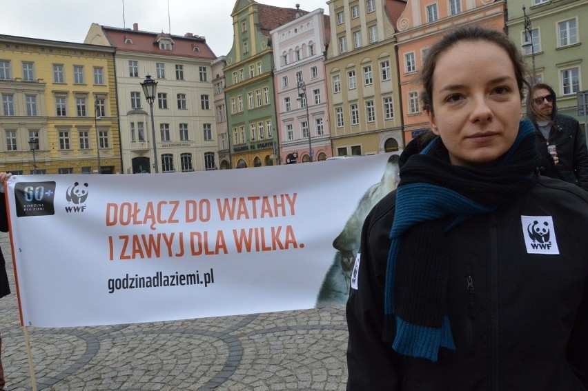 Godzina dla Ziemi 2016. W centrum Wrocławia zawyli dla wilków (ZDJĘCIA, FILM)