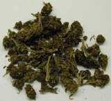 Modliborzyce: Maturzysta przechowywał marihuanę w internacie