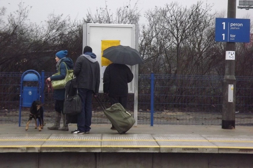 Wrocław ma nowy przystanek kolejowy. Dziś odjechały z niego pierwsze pociągi (ZDJĘCIA)