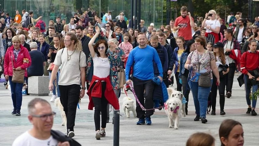 III Parada Psów Wrocławskich „Hau are you?'' – gratka dla tych, co kochają psy