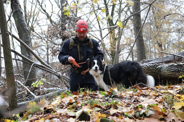 Górnośląska Grupa Poszukiwawczo-Ratownicza zorganizowała w sobotę 25 listopada międzynarodowy trening psów ratowniczychZobacz kolejne zdjęcia/plansze. Przesuwaj zdjęcia w prawo naciśnij strzałkę lub przycisk NASTĘPNE