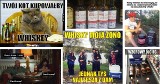 Oto najlepsze memy o Whisky! Międzynarodowy Dzień Whisky zobowiązuje