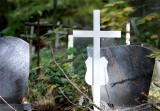 Ile kosztuje miejsce na cmentarzu. Tyle trzeba zapłacić za miejsce pochówku na szczecińskich cmentarzach