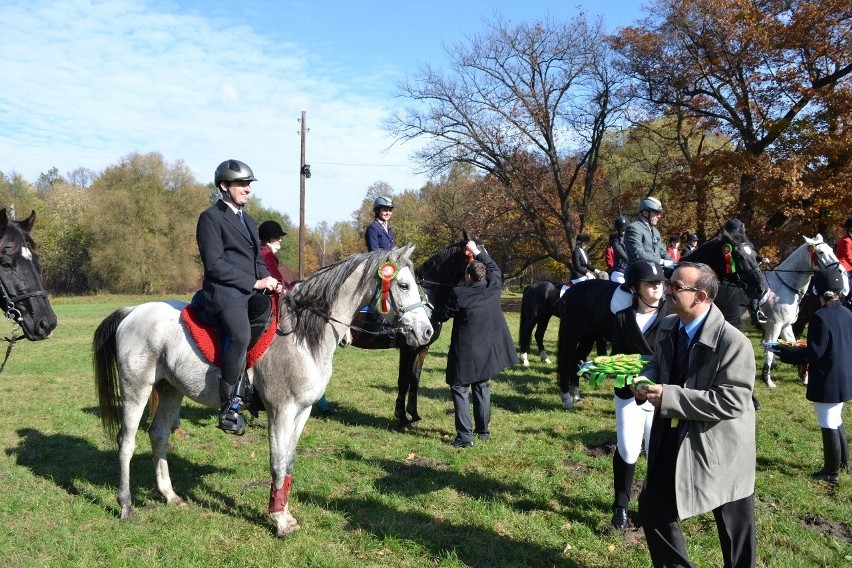 Hubertus 2013 w Świerklańcu. Gonitwy, psy myśliwskie i pokazy sokolnictwa [ZDJĘCIA]