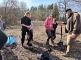 W pierwszy dzień wiosny w Lesie Zwierzynieckim w Tarnobrzegu młodzież zasadziła miododajne drzewa. Zobacz zdjęcia i wideo