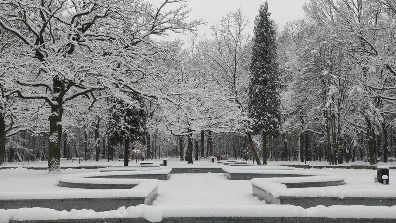 Park Zielona w Dąbrowie Górniczej w zimowej odsłonie Zobacz...