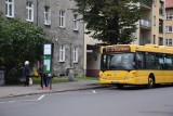 W autobusie ze Stargardu dzieci cisną się wśród... grzybiarzy 