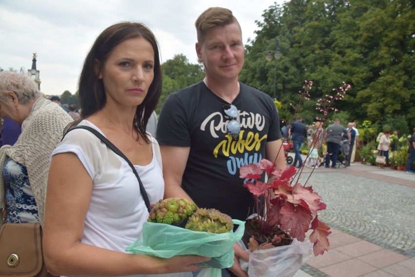 Jest dość duży wybór roślin, a i ceny są przystępne -...