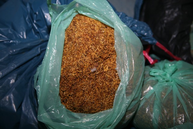 Tę nielegalną krajankę tytoniu ujawnili radomscy policjanci w bagażniku mercedesa.