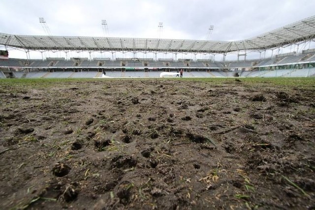 Murawa na stadionie Korony Kielce