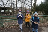 Ferie zimowe w Śląskim Ogrodzie Zoologicznym. Jak wolny czas spędzają najmłodsi? ZDJĘCIA