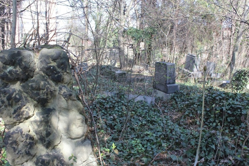 Bielsko-Biała: Piły na cmentarzu ewangelickim [ZDJĘCIA]