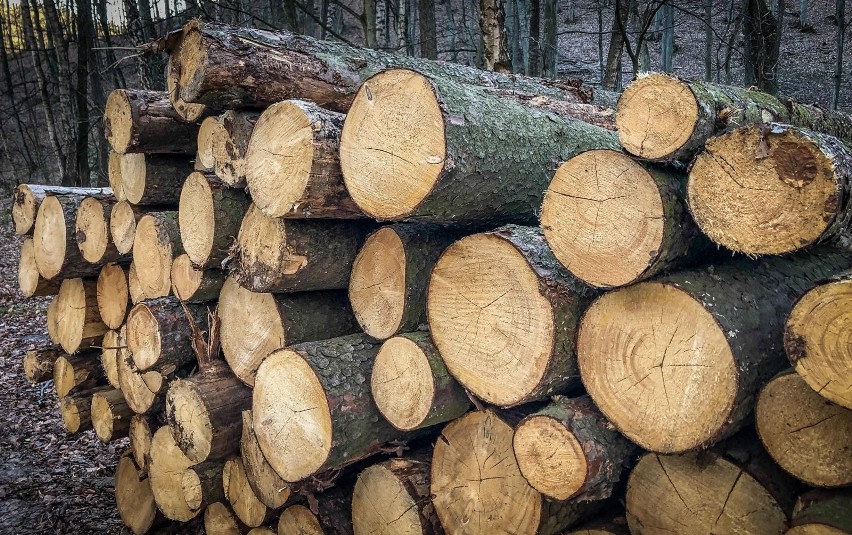Drewno opałowe może być sposobem na oszczędności ogrzewania...