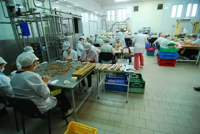 Codziennie przy produkcji Krówek w mleczarni w Bidzinach pracuje pięćdziesiąt osób.