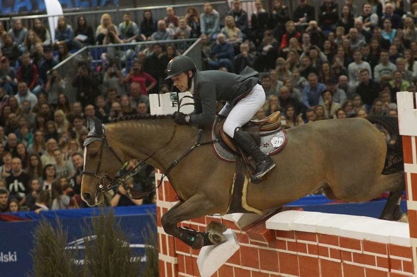 Cavaliada i potęga skoków na poznańskich targach