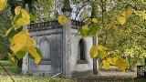 Wschowskie Père-Lachaise! Lapidarium o tej porze roku nabiera szczególnej magii. To miejsce trzeba odwiedzić. Jest wyjątkowe!