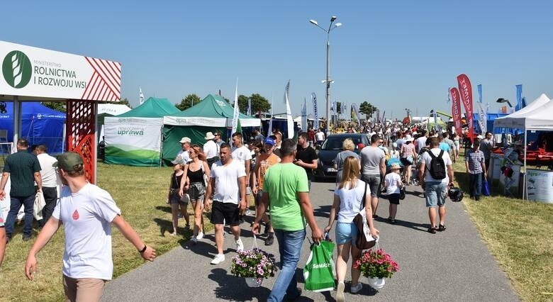 W Kujawsko-Pomorskim Ośrodku Doradztwa Rolniczego w...