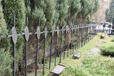 Krzyże mogilne na cmentarzu wojskowym w Jędrzejowie zostaną odnowione. Gmina otrzymała 56 tysięcy złotych dofinansowania (ZDJĘCIA)