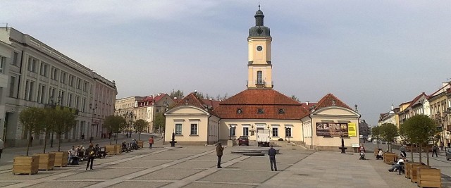 Szpalery głogów pojawiły się na Rynku Kościuszki