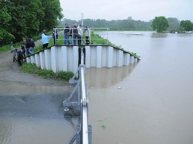 Stawiając w 2010 roku szandory uratowano starą część Koźla, ale zalano Kobylice.