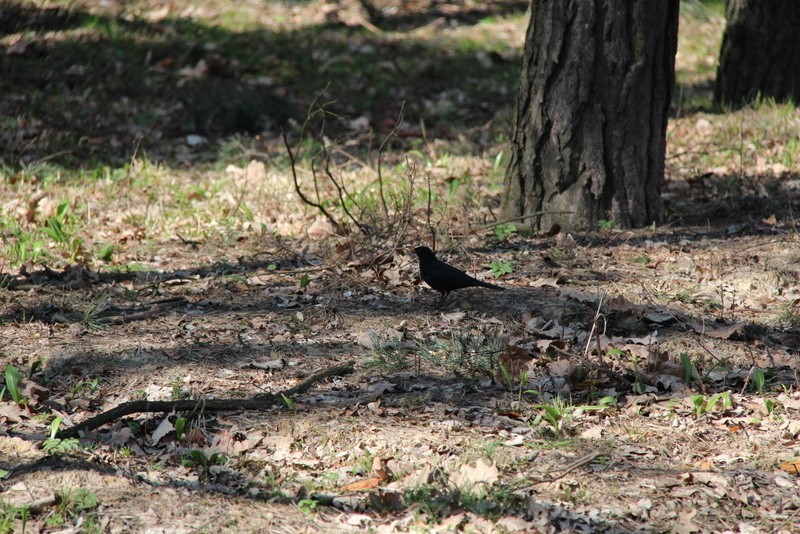 Park Zielona to jedno z ulubionych miejsc wypoczynku...