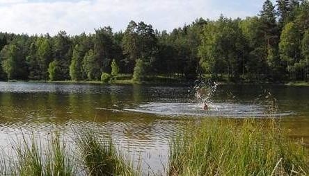 Kąpieliska w Obłężu i Korzybiu zostały zamknięte