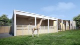 Poznań: Sześć firm jest zainteresowanych budową całorocznego wybiegu dla żyraf i nosorożców w poznańskim zoo
