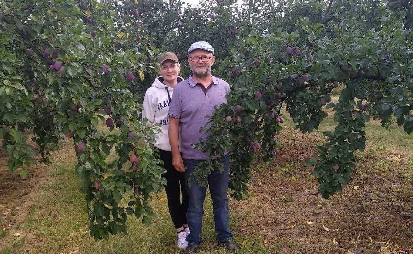 Aneta i Krzysztof Grochowscy prowadzą uprawy sadownicze.