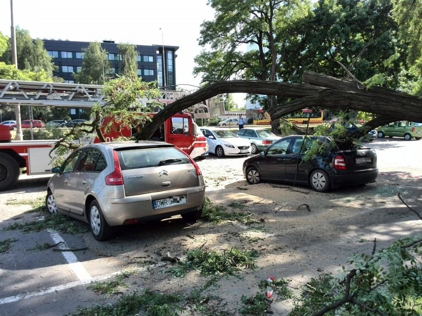 Wrocław: Drzewo przygniotło trzy samochody (ZDJĘCIA, FILM)