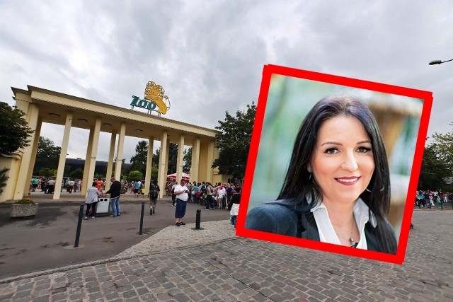 Joanna Kasprzak bez konkursu została prezesem zoo we Wrocławiu dwa miesiące temu.