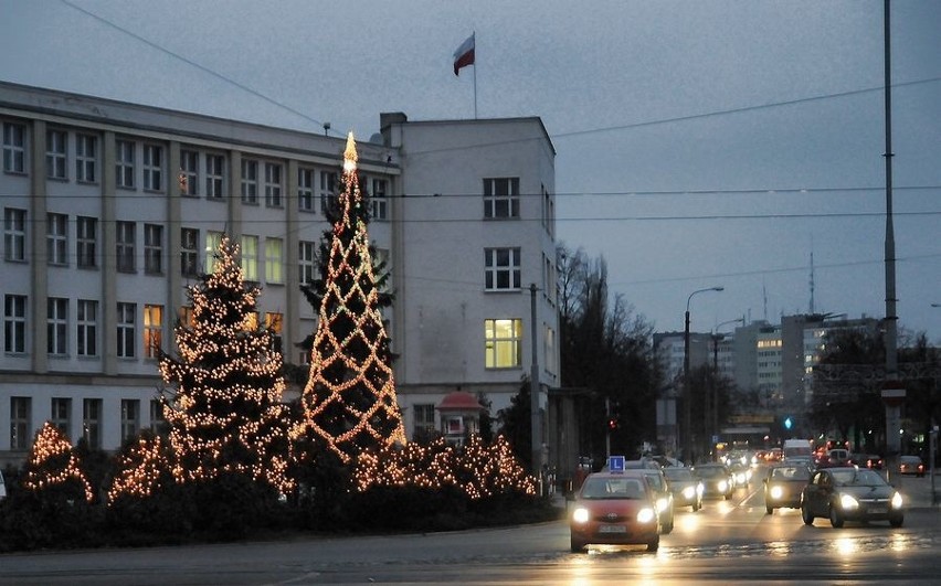 Choinka marszałka