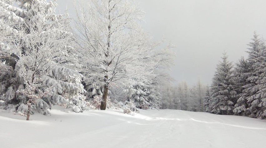 Karkonosze zimą, 22.01.2017