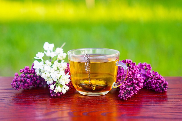 Do zrobienia herbaty z kwiatów bzu lilaka możesz wykorzystać kwiaty różnych odmian bzu, ponieważ zarówno fioletowe, jak i białe czy kremowe mają podobne właściwości.