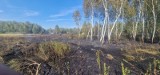 Pożar lasu na poligonie wojskowym pod Toruniem. Zobaczcie zdjęcia!