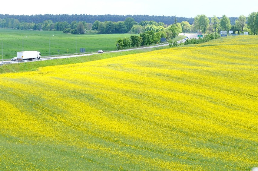 Kiedy rolnik goni fotografa i turystę. Narasta konflikt, którego tłem jest brak wrażliwości i szacunku