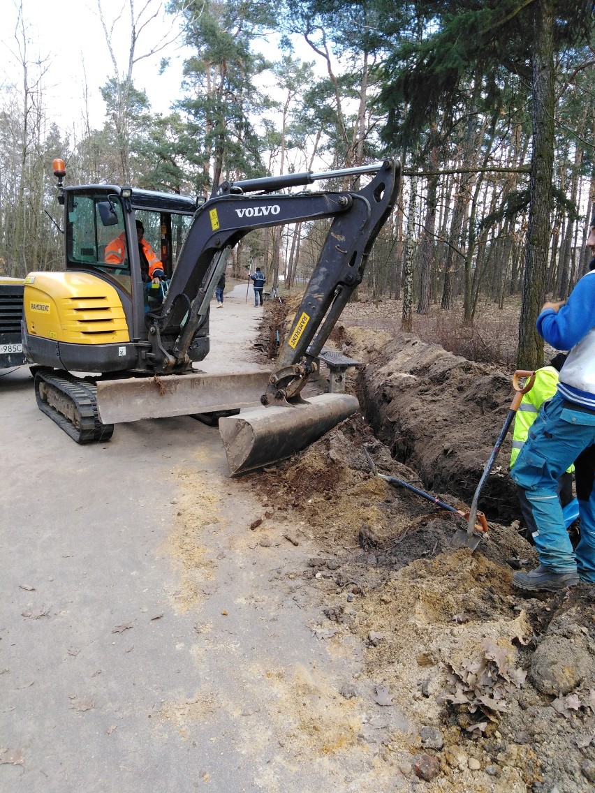 Nowe oświetlenie w Parku Wolności w Pabianicach. Prace już ruszyły ZDJĘCIA