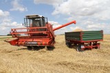 KRUS apeluje do rolników o ostrożność w czasie żniw