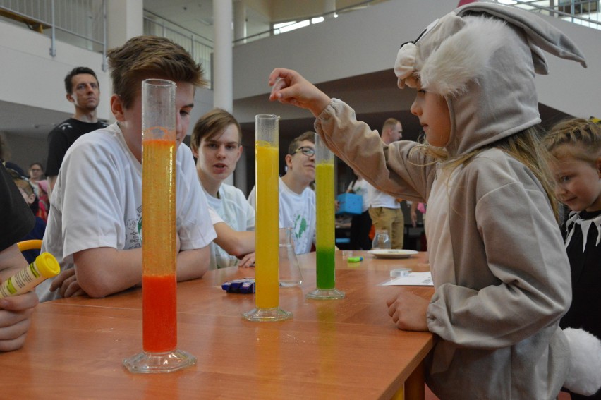 Dobczyce. Piknik już był, teraz przybędzie drzew