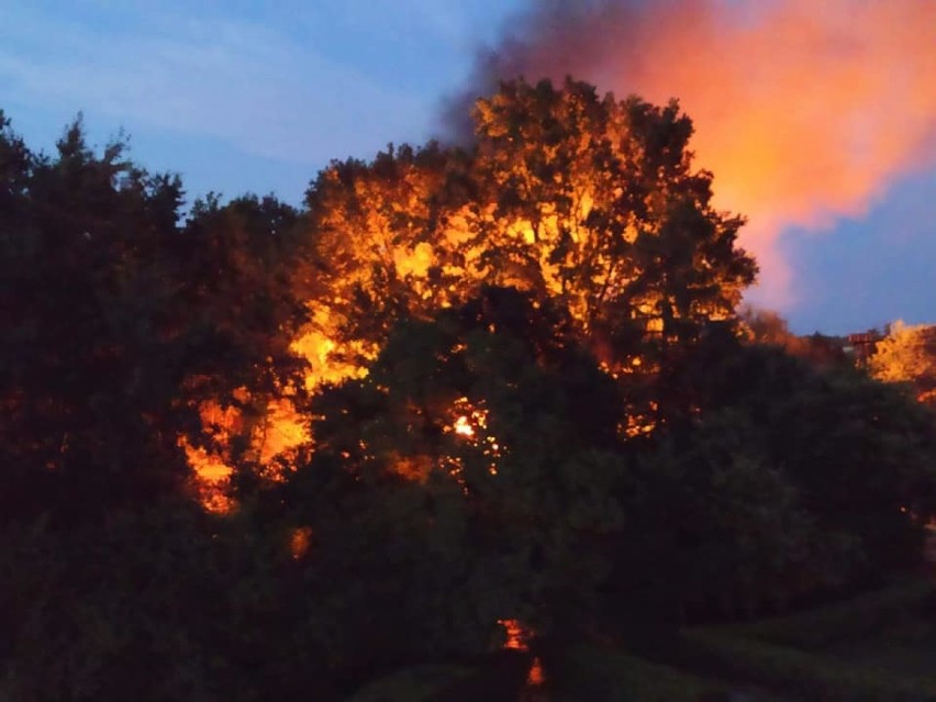 Pożar w Cedrach Wielkich 10.07.2020. Płonęła przyczepa. Pożar gasiły dwa zastępy strażaków. Zdjecia