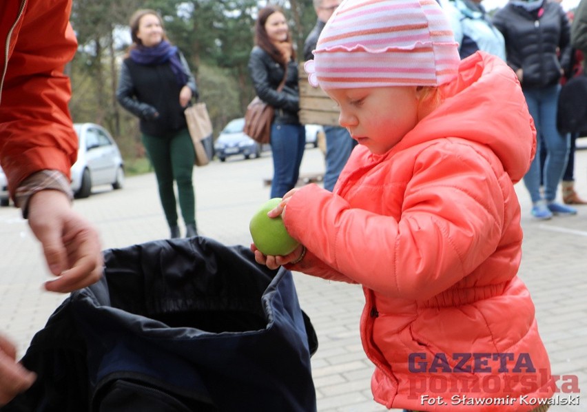 Operacja `Ad Mala` - polskie jabłka dla UMK
i młodszych