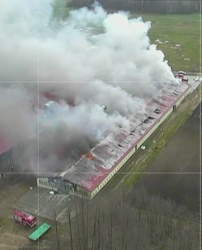 Kilkanaście zastępów straży pożarnej gasiło pożar kurnika w miejscowości Dołki 
